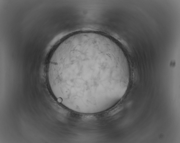 X0000092111454200710101133