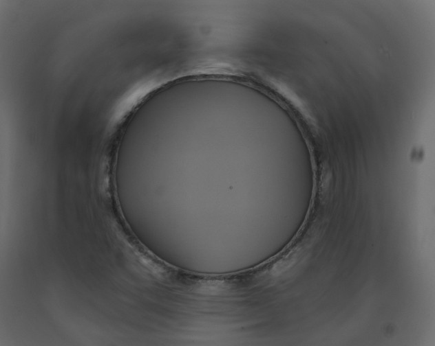 X0000092111455200710101133