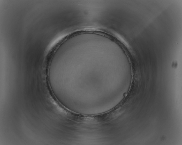 X0000092111456200710101133