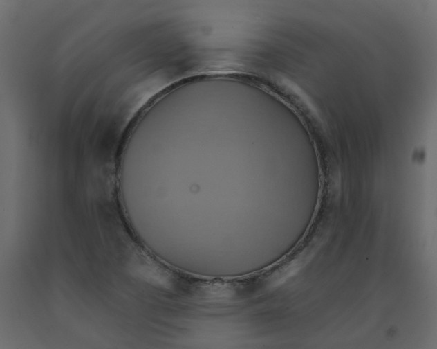 X0000092111457200710101133