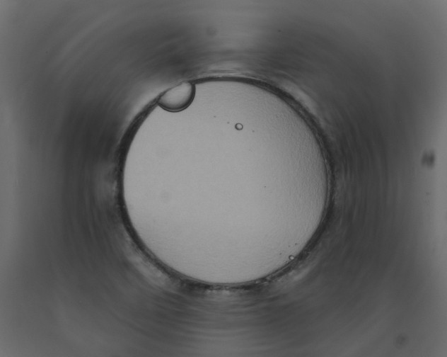 X0000092111458200710101133