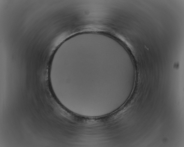 X0000092111459200710101133