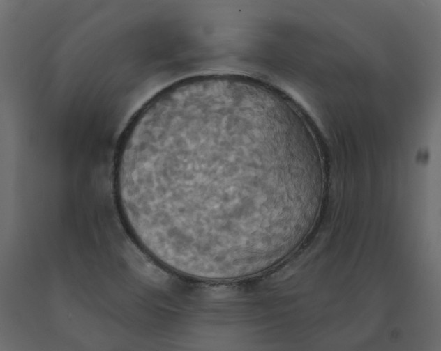 X0000092111460200710101133