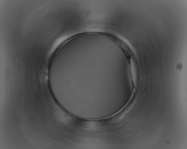 X0000092111461200710101133