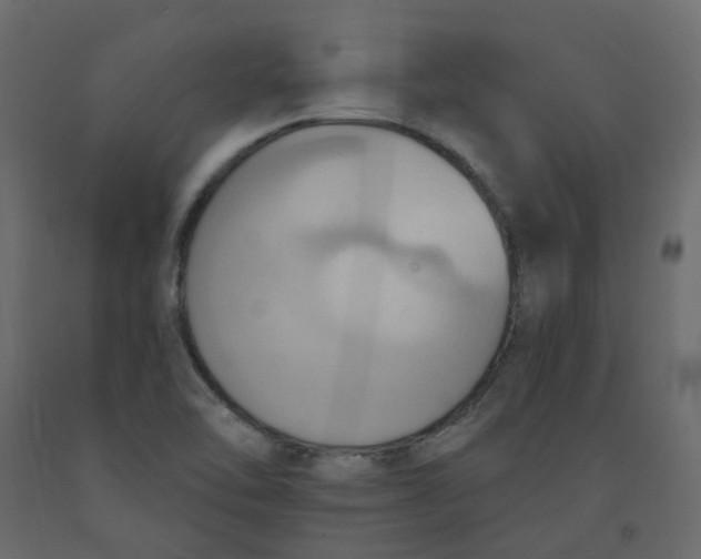 X0000092111462200710101133