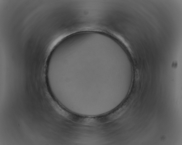 X0000092111463200710101133