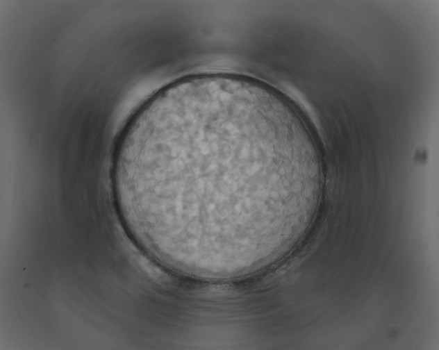 X0000092111464200710101133