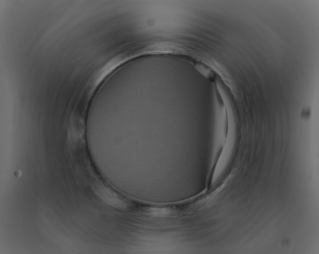 X0000092111465200710101133