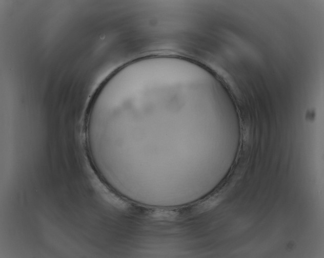 X0000092111466200710101133