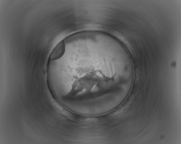 X0000092111467200710101133