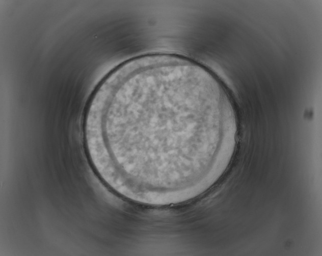 X0000092111468200710101133