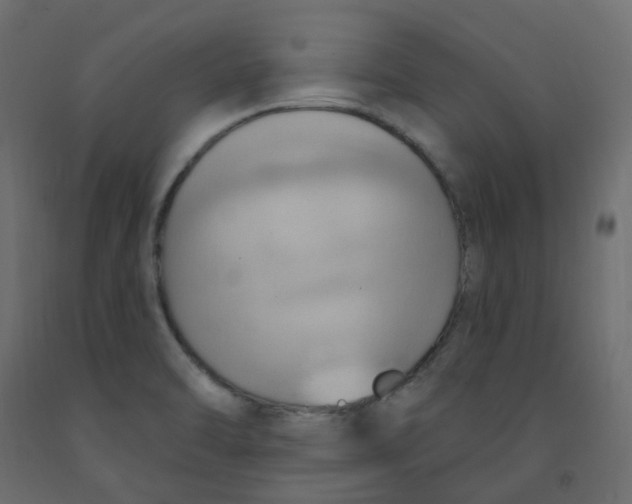 X0000092111470200710101132