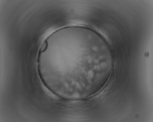 X0000092111471200710101132