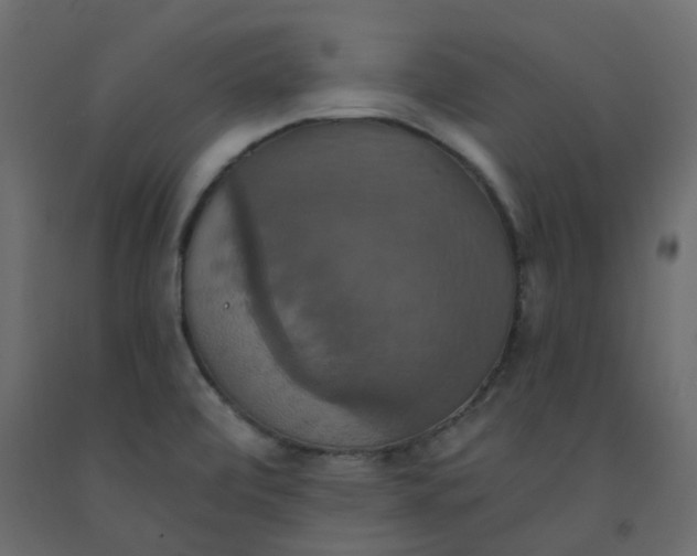 X0000092111472200710101132