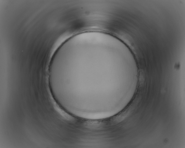 X0000092111474200710101132