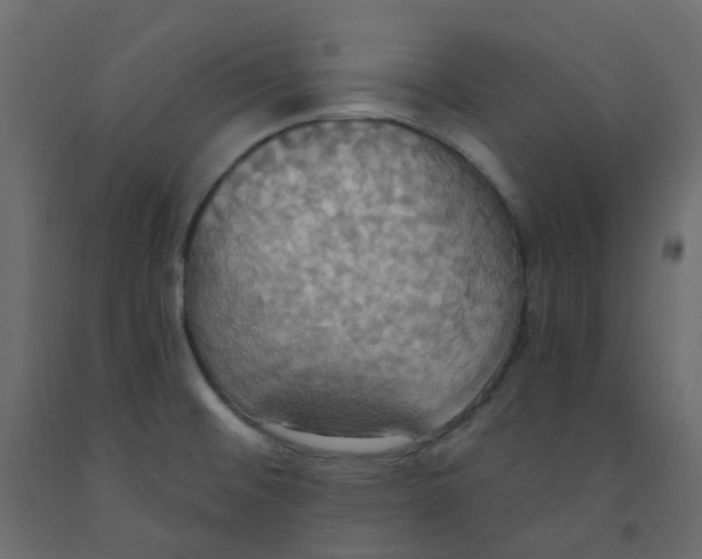 X0000092111476200710101132