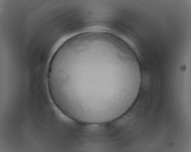 X0000092111478200710101132