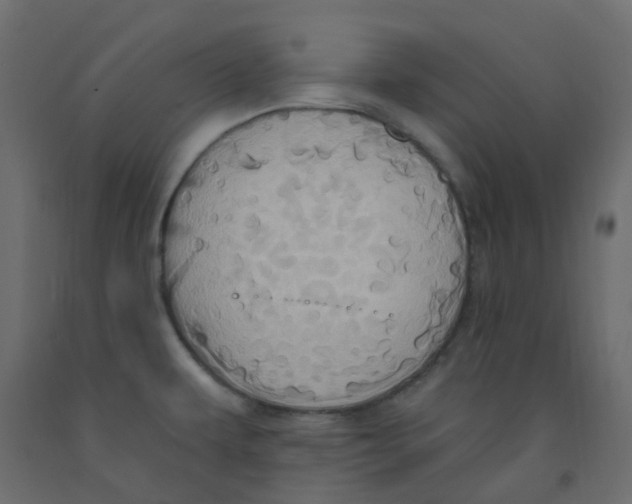 X0000092111479200710101132