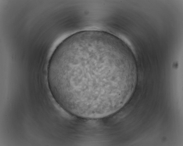 X0000092111480200710101132