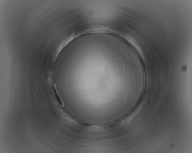 X0000092111481200710101132