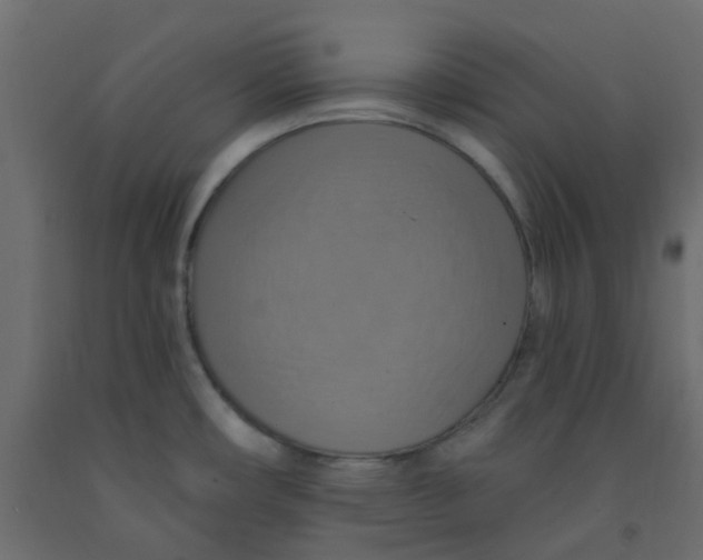 X0000092111482200710101132