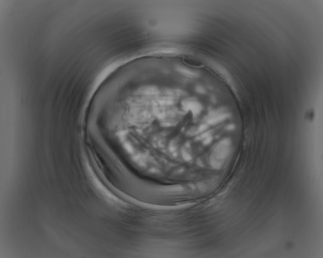 X0000092111483200710101132