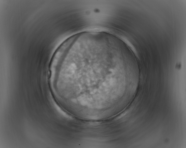 X0000092111484200710101132