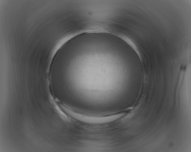 X0000092111485200710101132