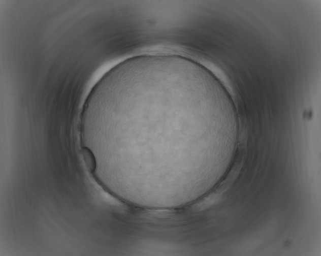 X0000092111486200710101132