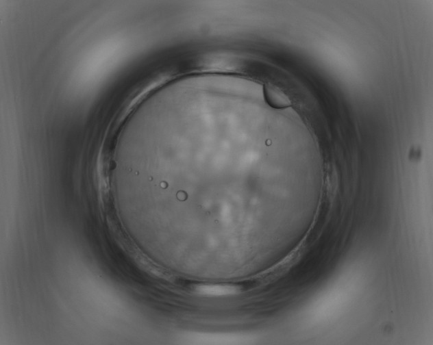 X0000092111487200710101132