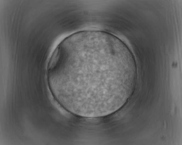 X0000092111488200710101132