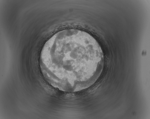 X0000092111489200710101131