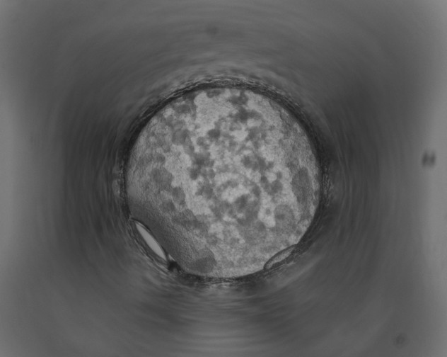 X0000092111490200710101131