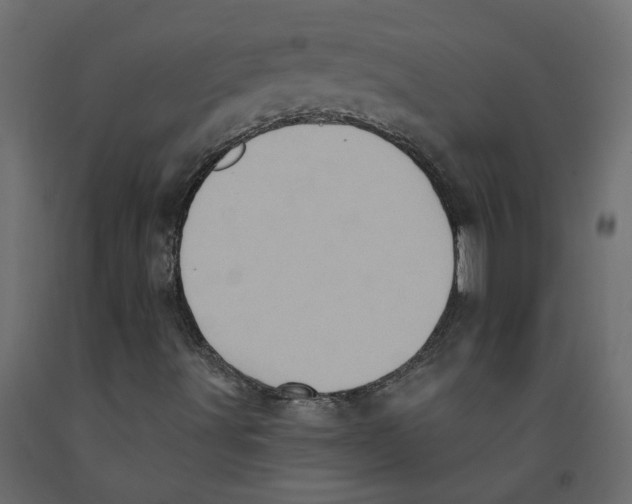 X0000092111491200710101132