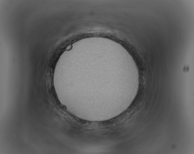 X0000092111493200710101132