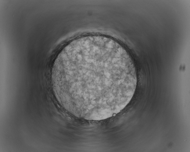 X0000092111494200710101132