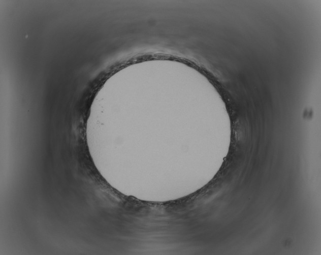 X0000092111495200710101132