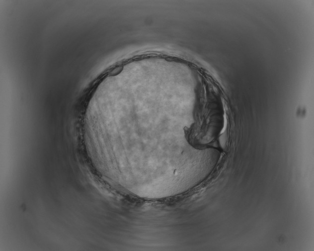 X0000092111496200710101132