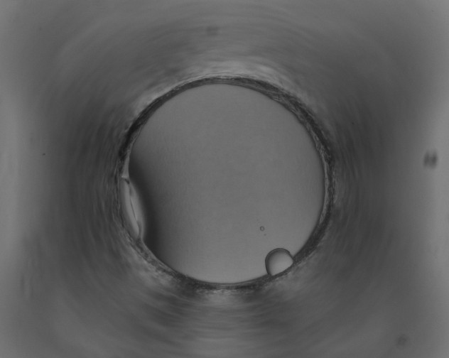 X0000092111497200710101132