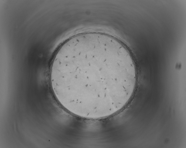 X0000092111498200710101132