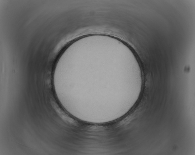 X0000092111499200710101132