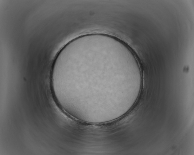 X0000092111500200710101132