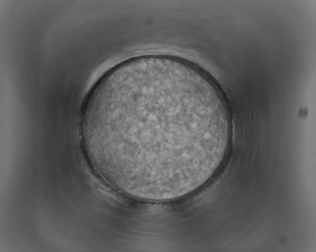 X0000092111501200710101132