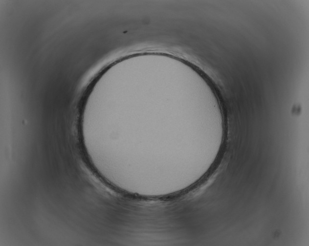 X0000092111502200710101132