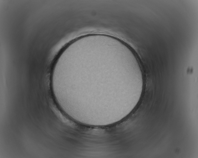 X0000092111503200710101132