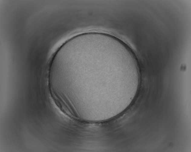 X0000092111504200710101132