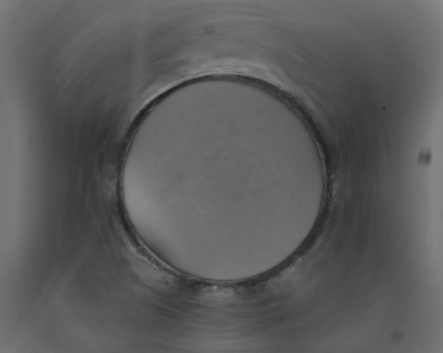 X0000092111505200710101132