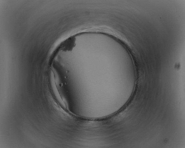 X0000092111506200710101132