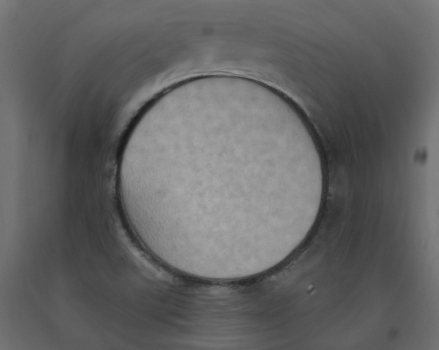 X0000092111507200710101132