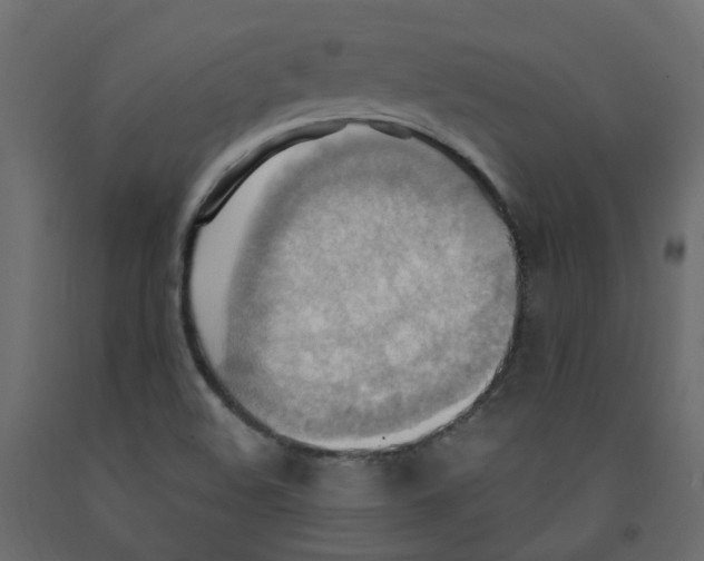 X0000092111508200710101132